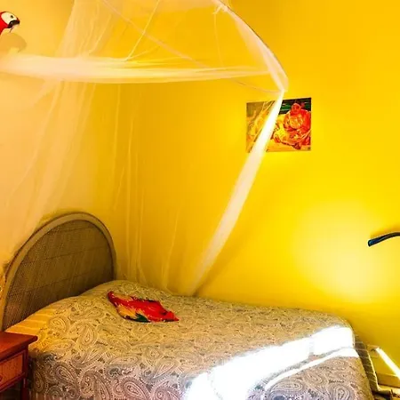 Mia Casa - Gauguin - Central, Artistique Et Calme Apartment